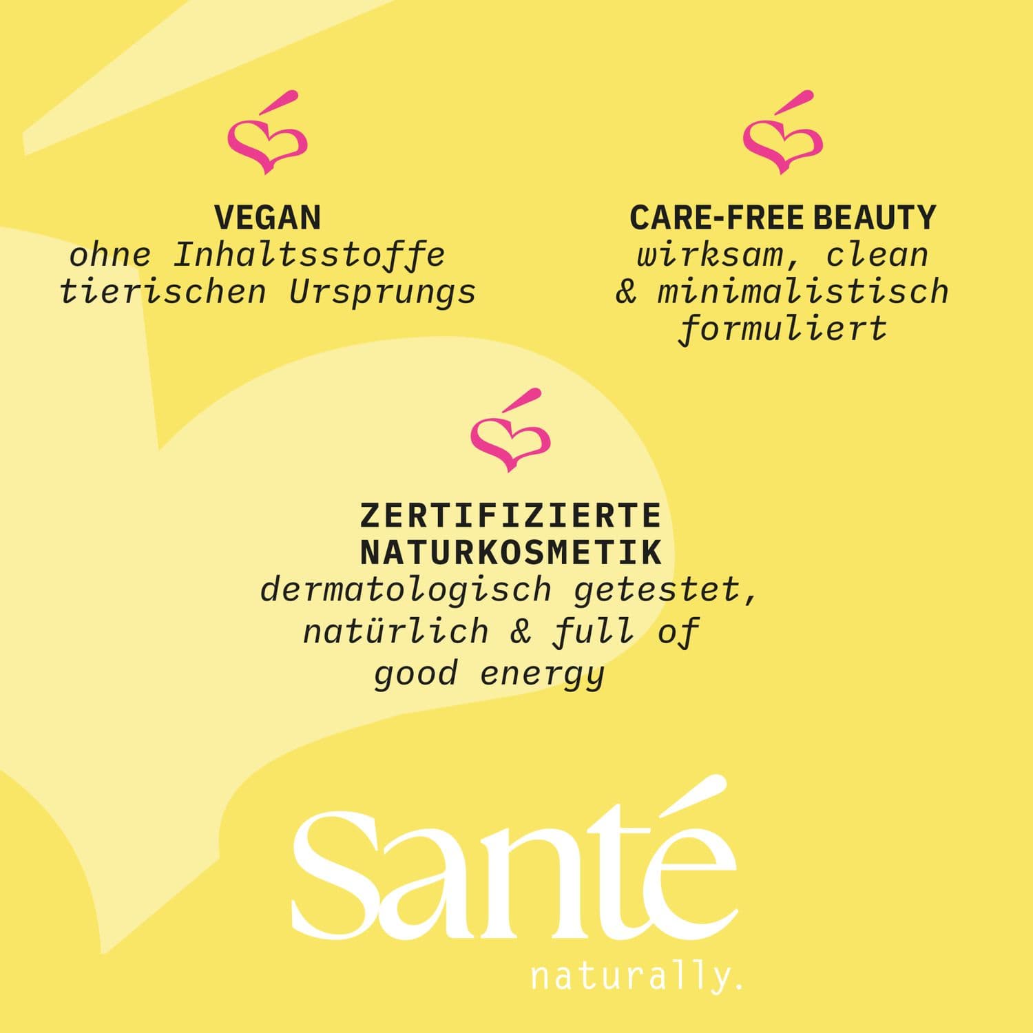 SANTE Bye Bye Mattifyiing Spray