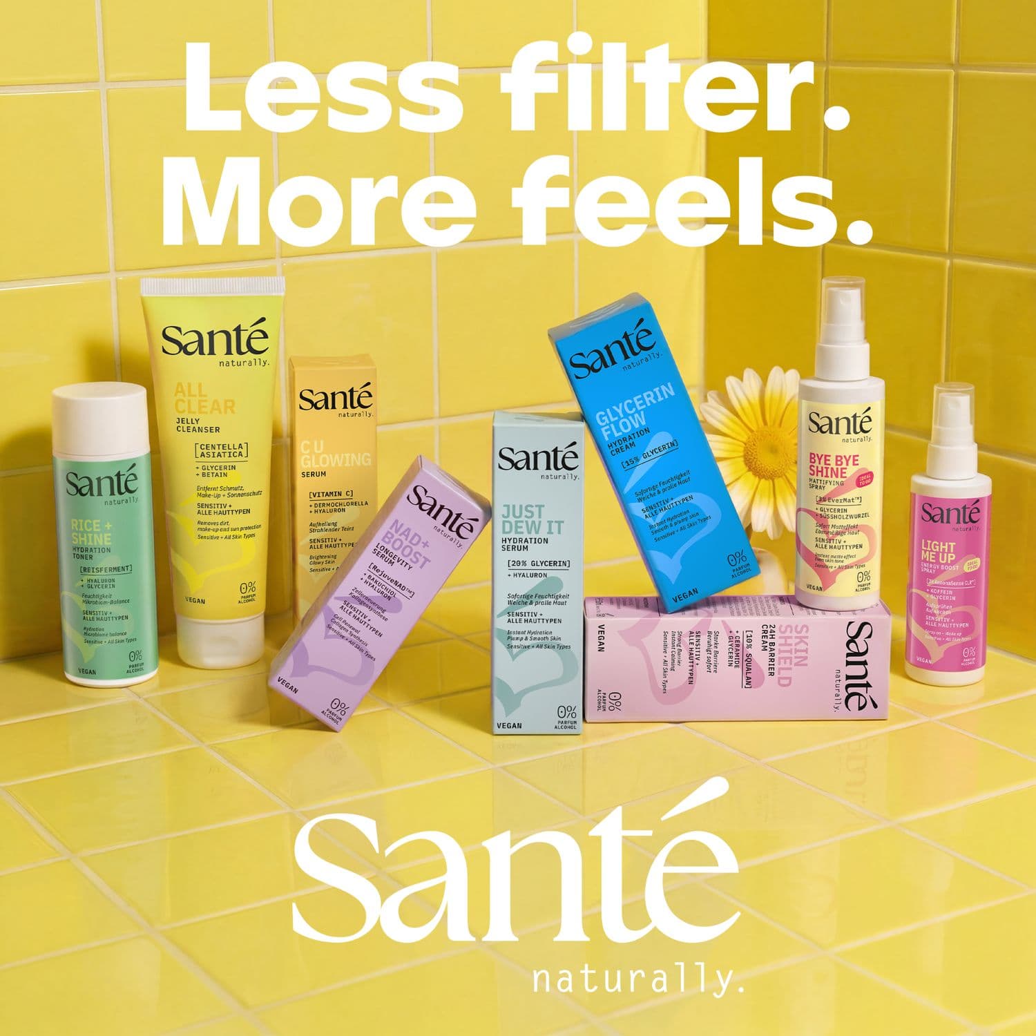 SANTE Bye Bye Mattifyiing Spray