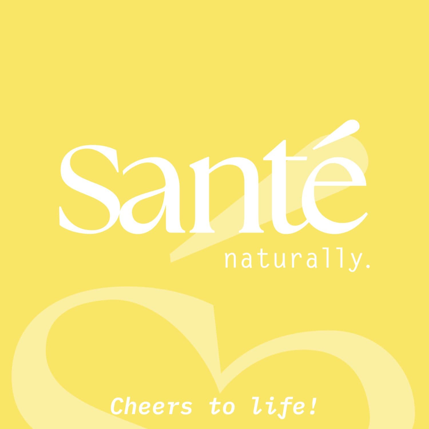 SANTE Bye Bye Mattifyiing Spray