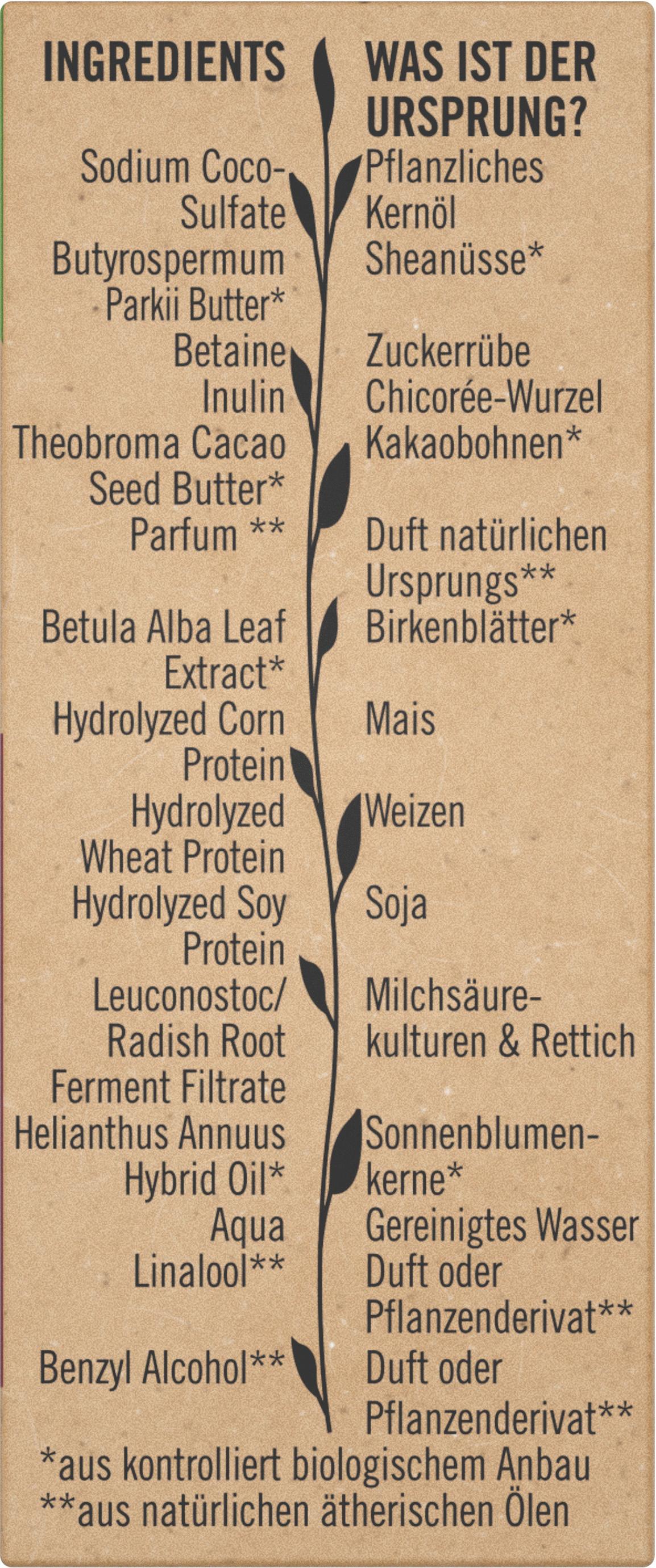 Produktbild SANTE FAMILY Festes Glanz Pflege-Shampoo Bio-Birkenblatt&pflanzliches Protein 3 von 3