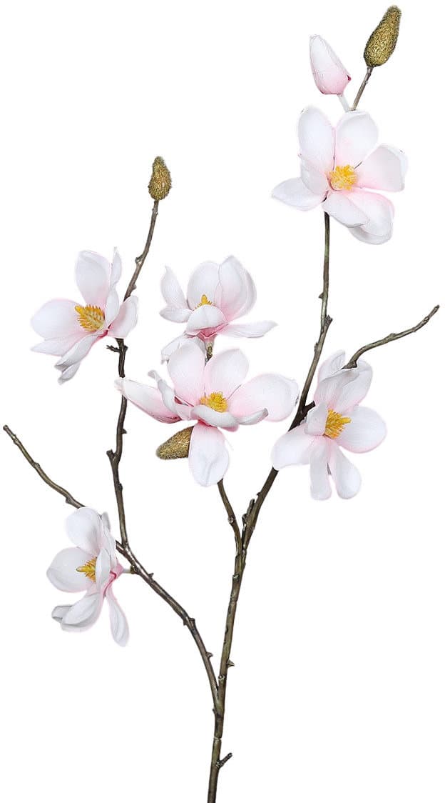 Kunstblume Magnolie