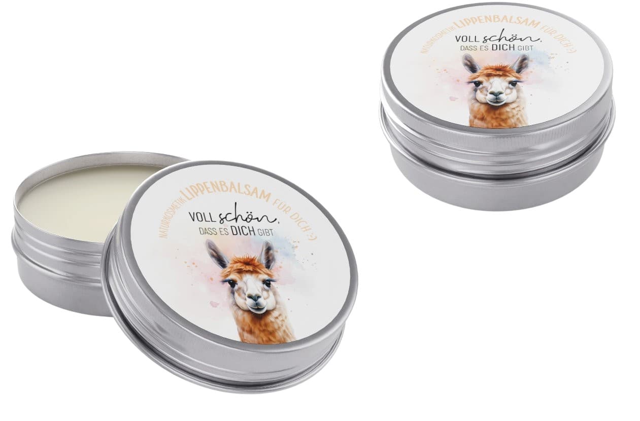 Geschenk für Dich Lippenbalsam Voll schön, dass es Dich gibt