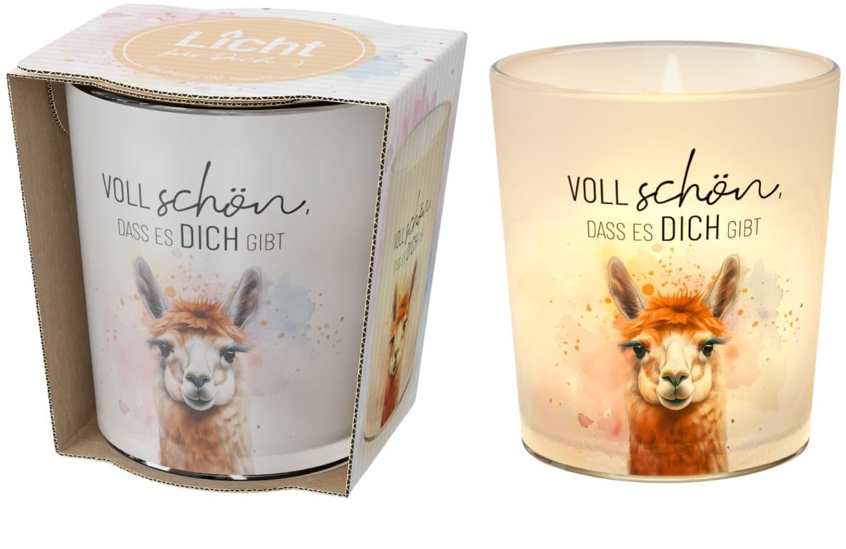Geschenk für Dich Windlicht Voll schön, dass es dich gibt