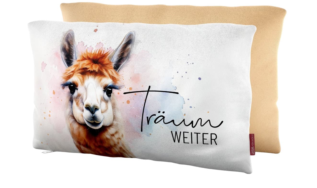 Geschenk für Dich Kissen Träum weiter