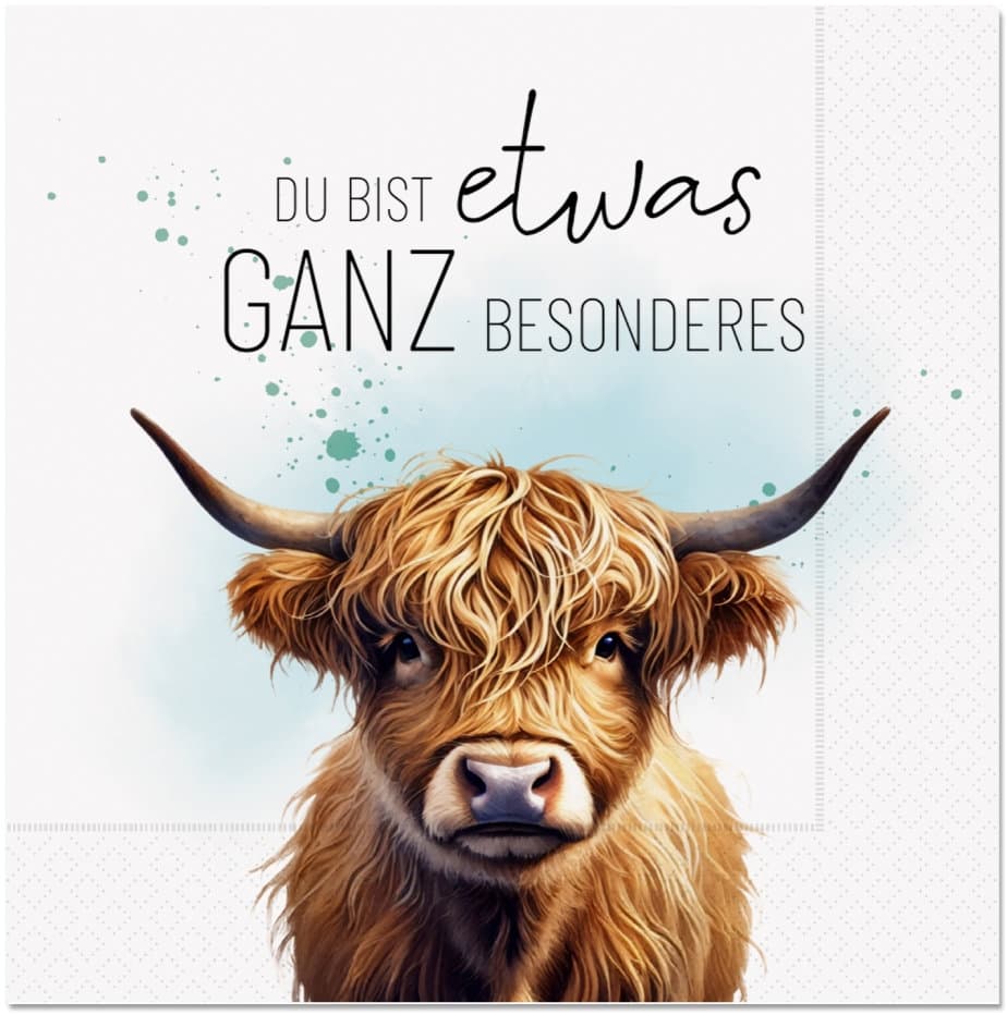 Geschenk für Dich Serviette Du bist etwas ganz Besonderes 33x33cm 