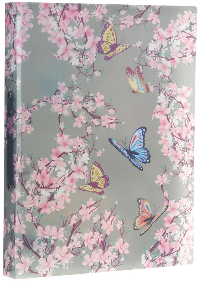 Ringbuch PP A4 2Ring ASIA taube 4cm