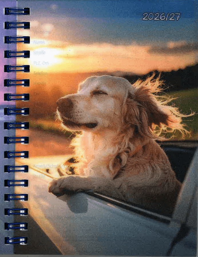 GERD KOCH Schülerkalender A6 Hunde