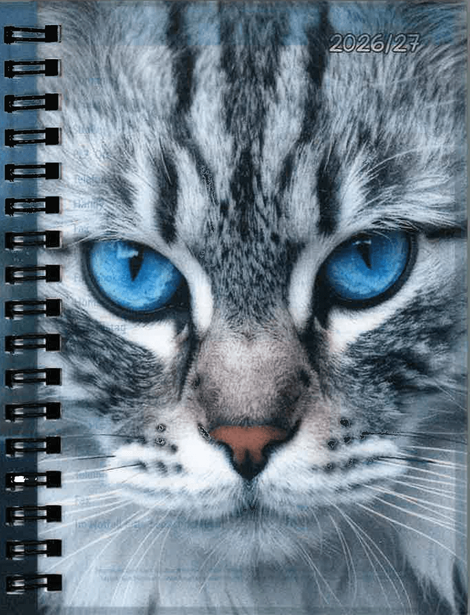 GERD KOCH Schülerkalender A6 Katze