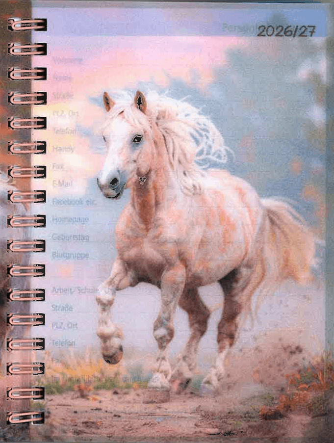 GERD KOCH Schülerkalender A6 Pferde
