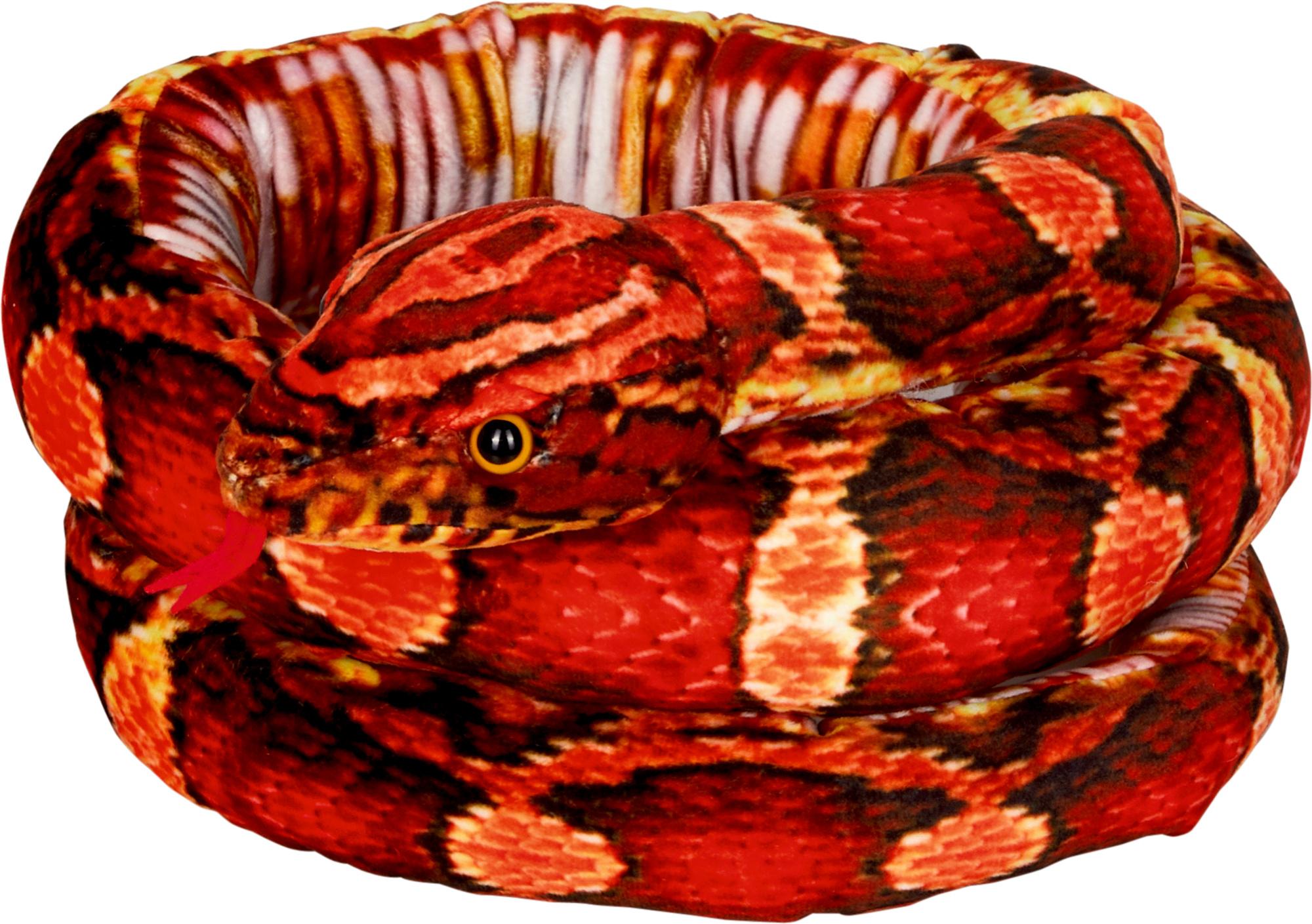Produktbild Die Spiegelburg - Kornnatter - Natur Zoom Wild 3 von 3