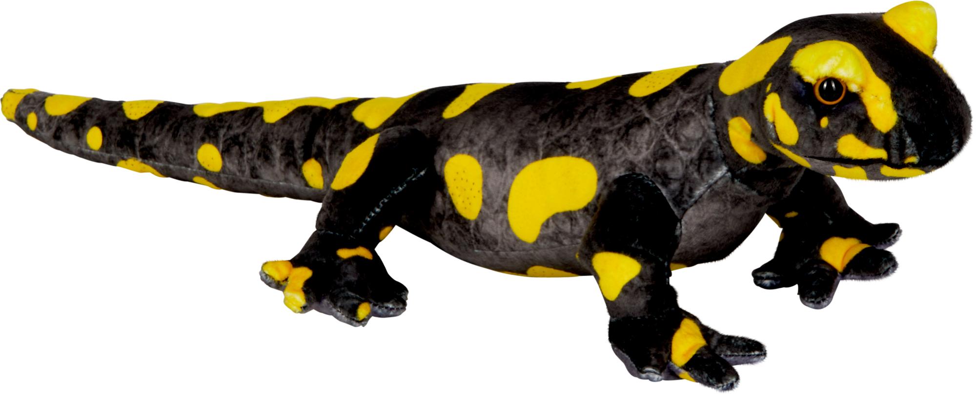 Die Spiegelburg - Feuersalamander - Nature Zoom Wild