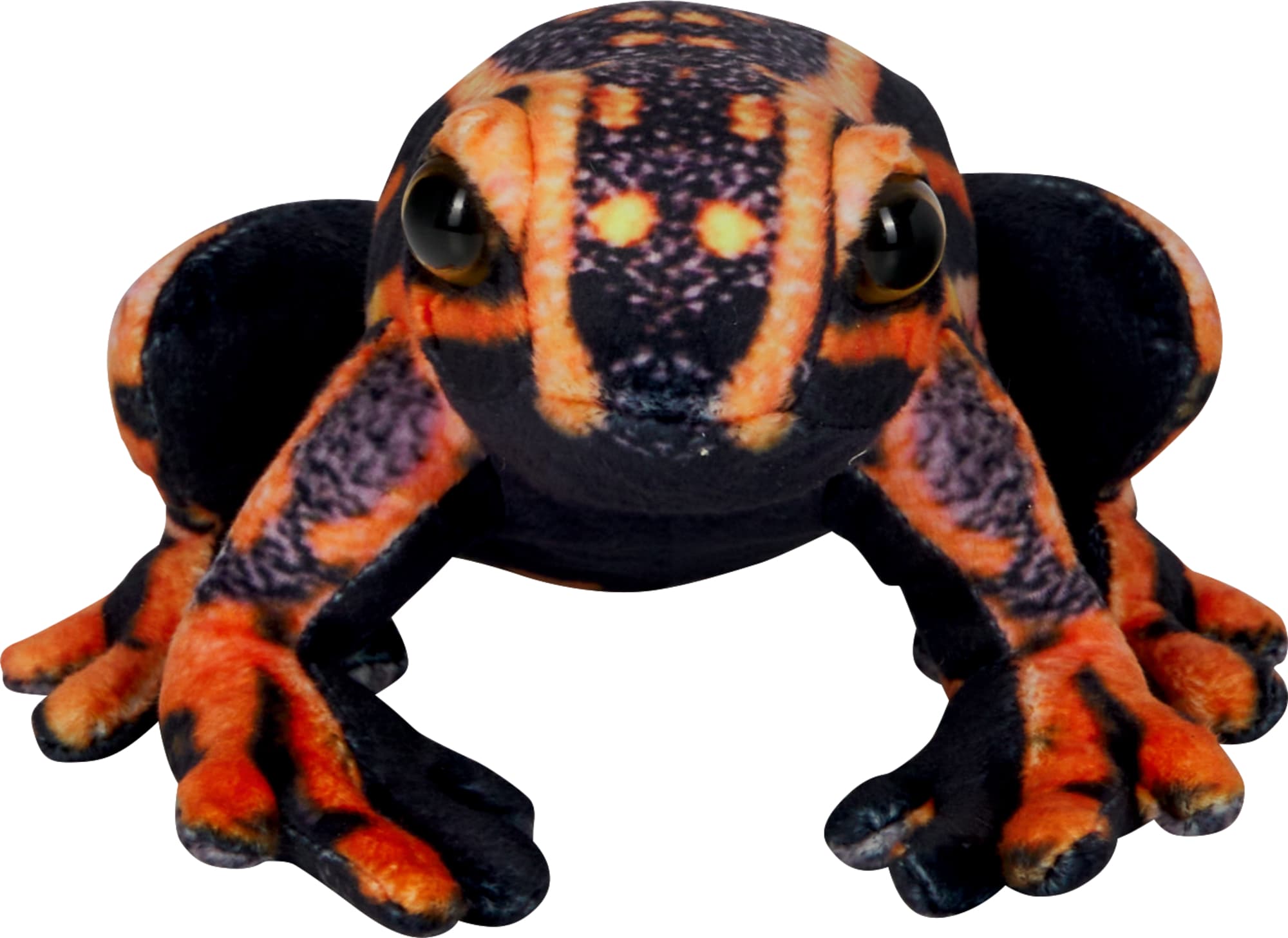 Die Spiegelburg - Pfeilgiftfrosch - Nature Zoom Wild