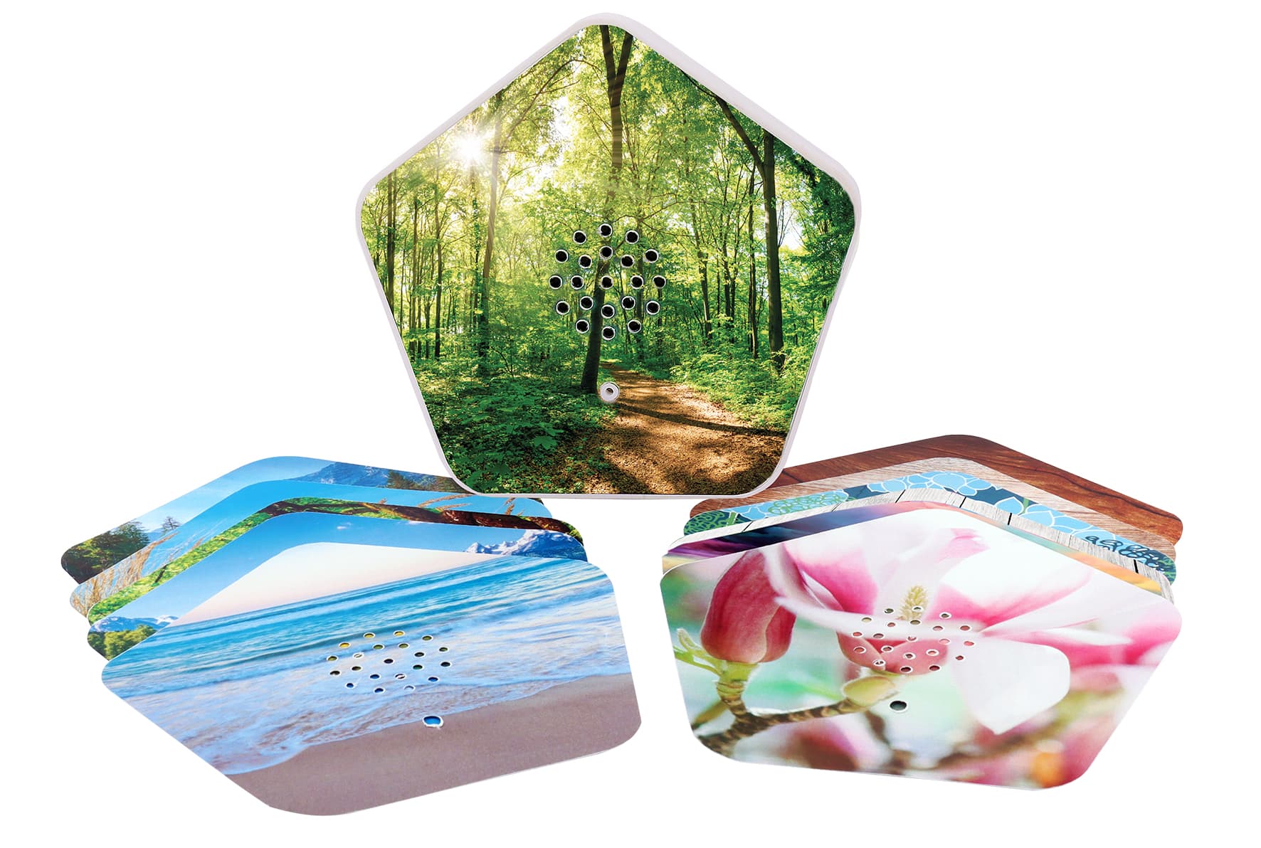 Produktbild OLYMP Sounds of Nature Box 6 von 6