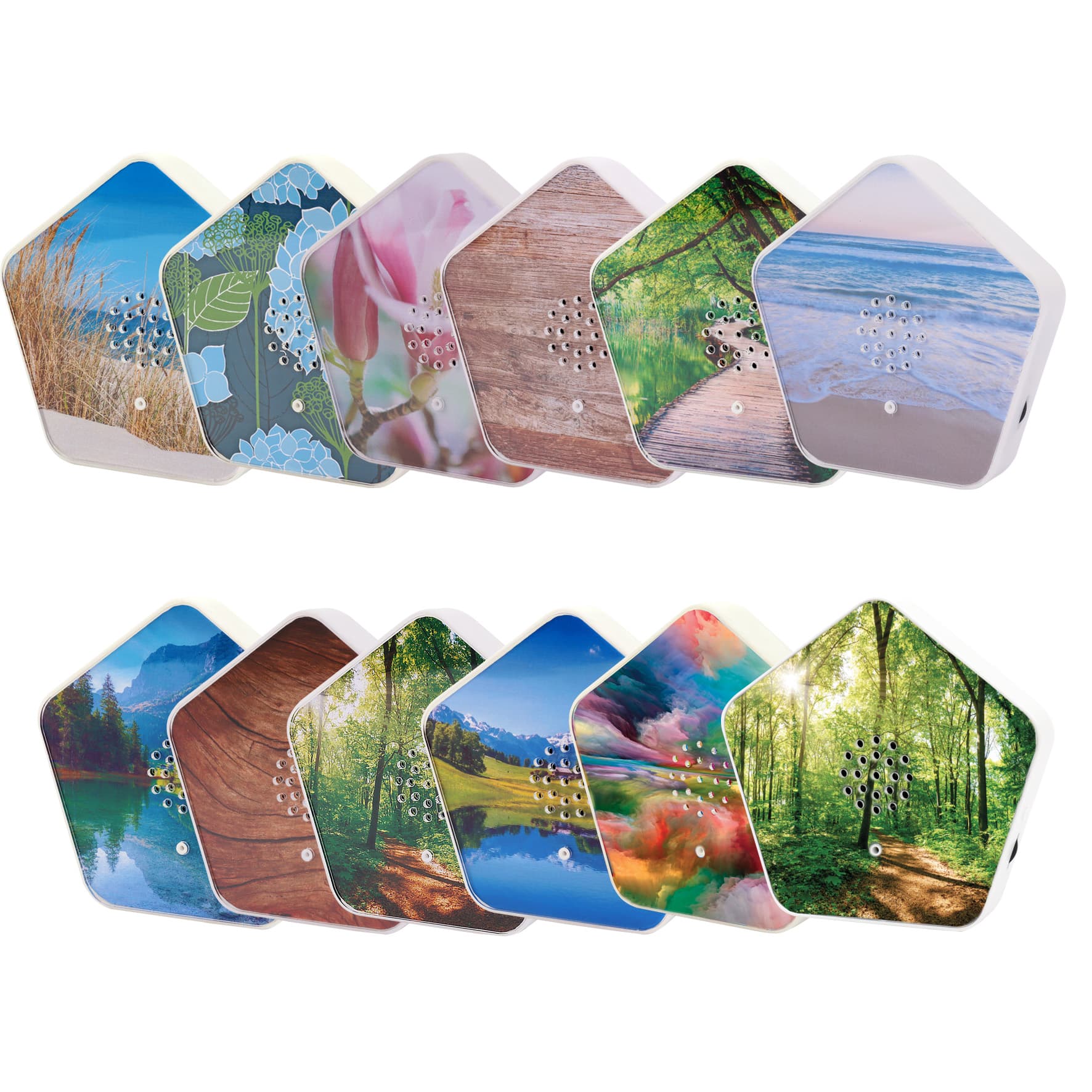 Produktbild OLYMP Sounds of Nature Box 5 von 6