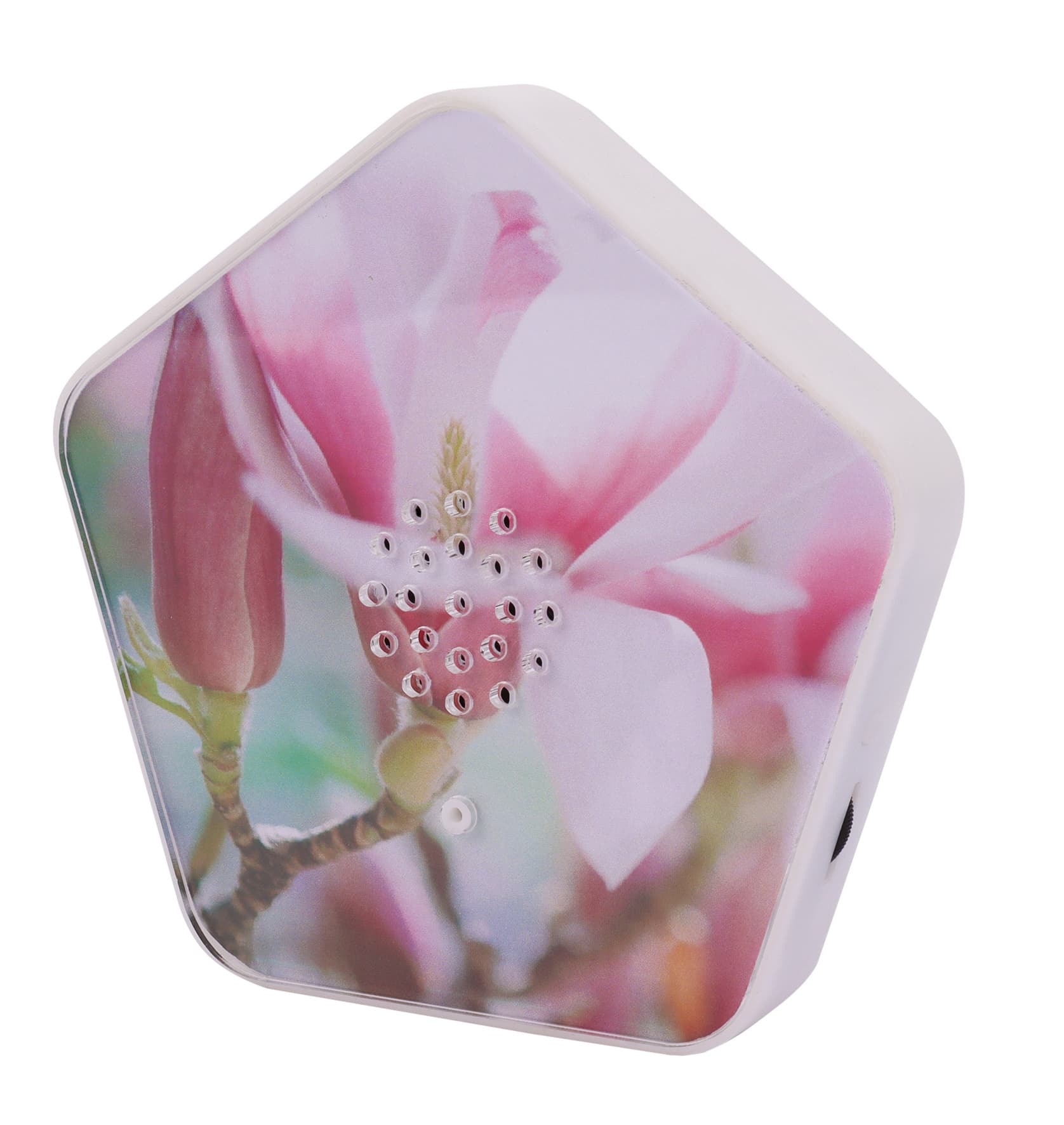 Produktbild OLYMP Sounds of Nature Box 2 von 6