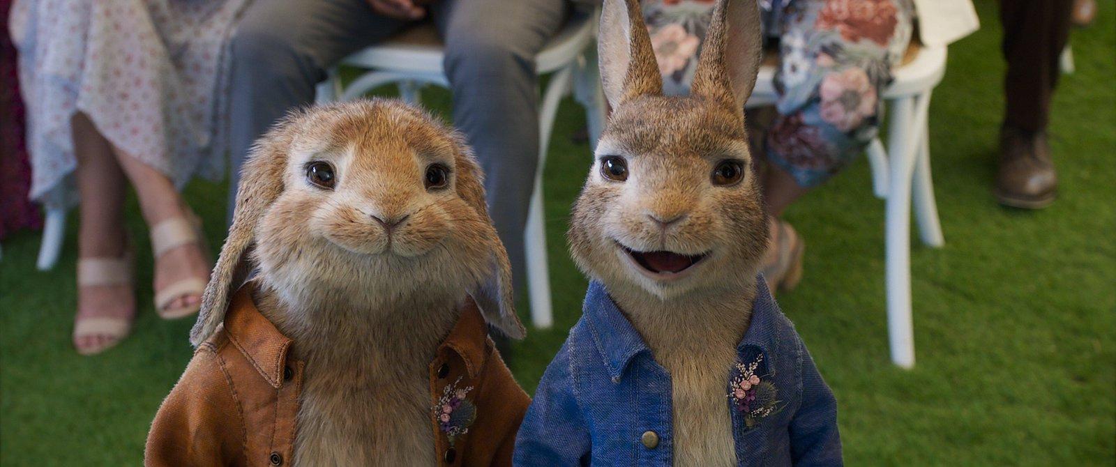 Produktbild Peter Hase 2 - Ein Hase macht sich vom Acker 5 von 11