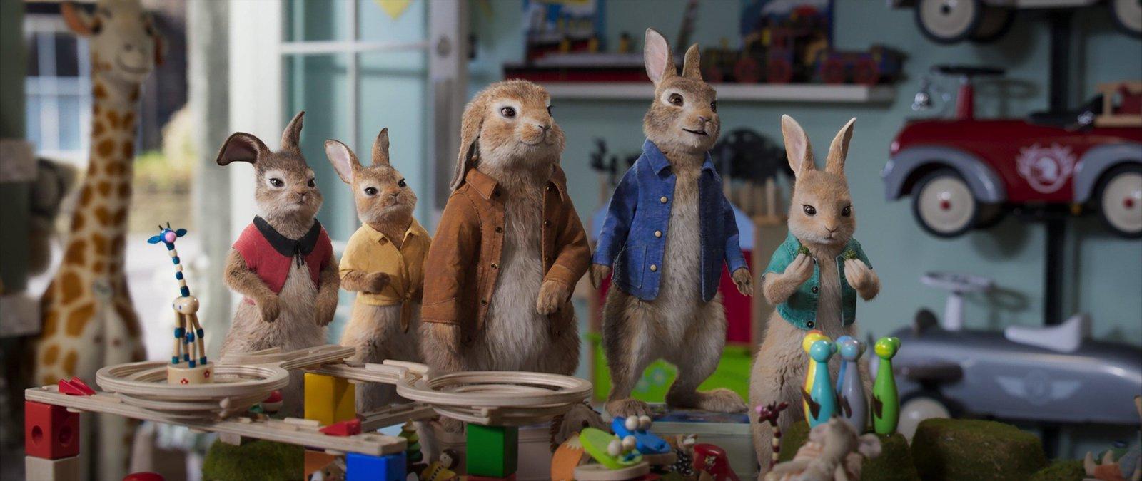 Produktbild Peter Hase 2 - Ein Hase macht sich vom Acker 7 von 11