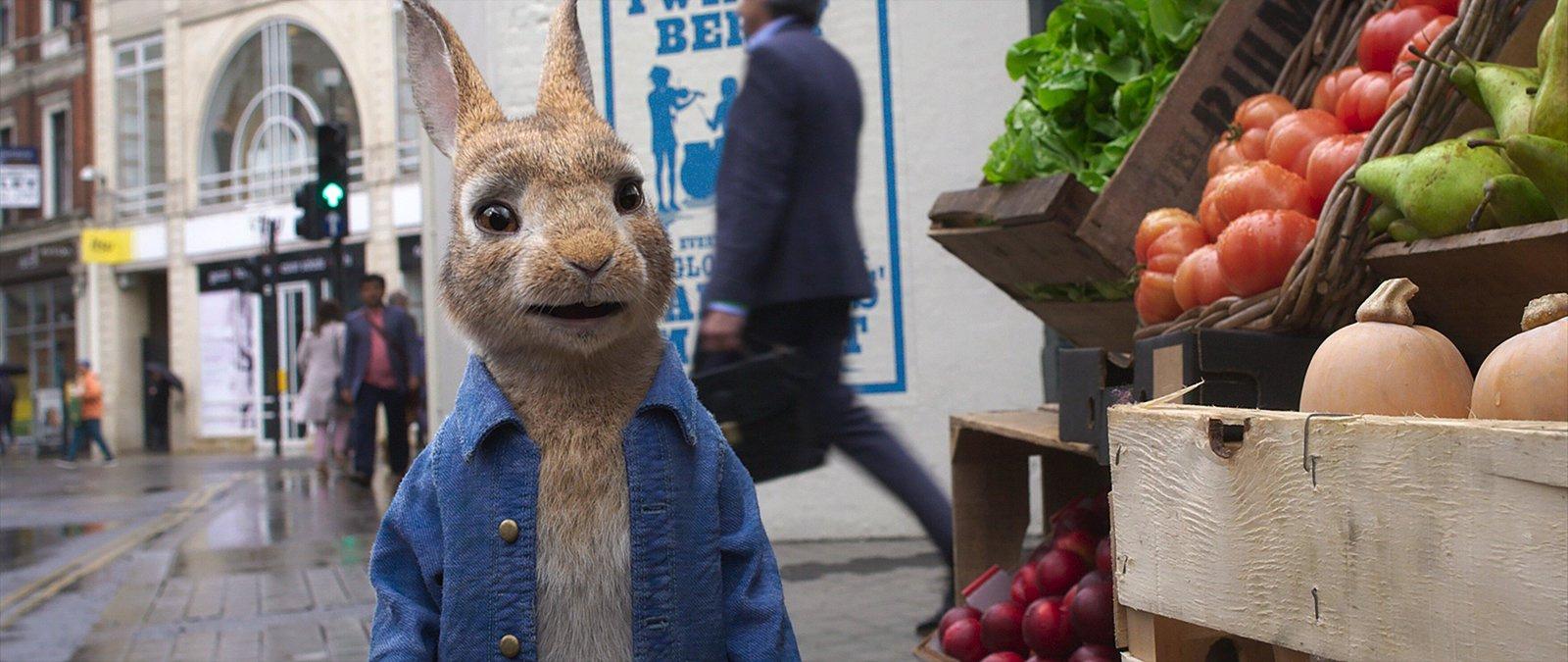 Produktbild Peter Hase 2 - Ein Hase macht sich vom Acker 8 von 11
