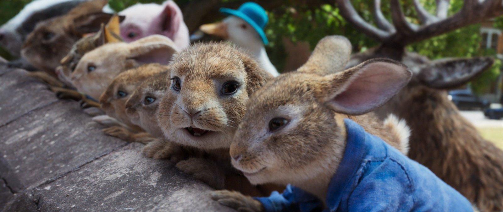 Produktbild Peter Hase 2 - Ein Hase macht sich vom Acker 10 von 11