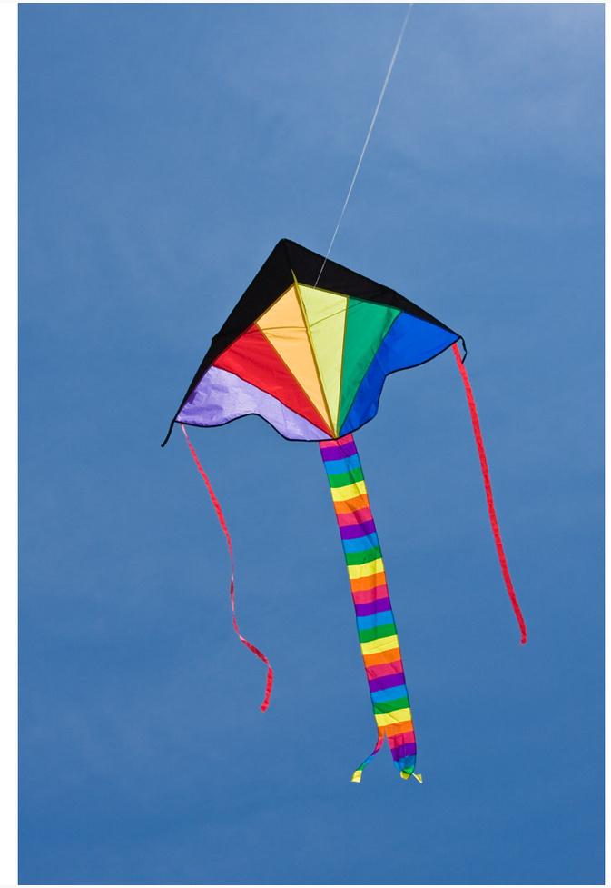 Produktbild Ecoline - Simple Flyer Rainbow 120cm 5 von 5