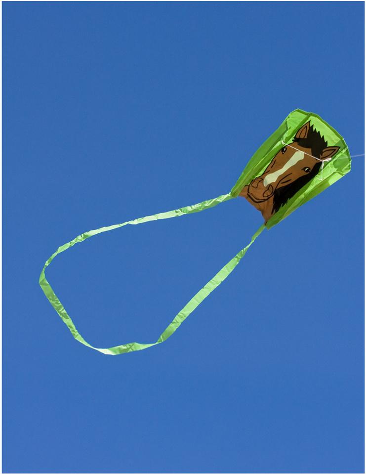 Produktbild Pocket Sled - Kinderdrachen Bronco 4 von 4