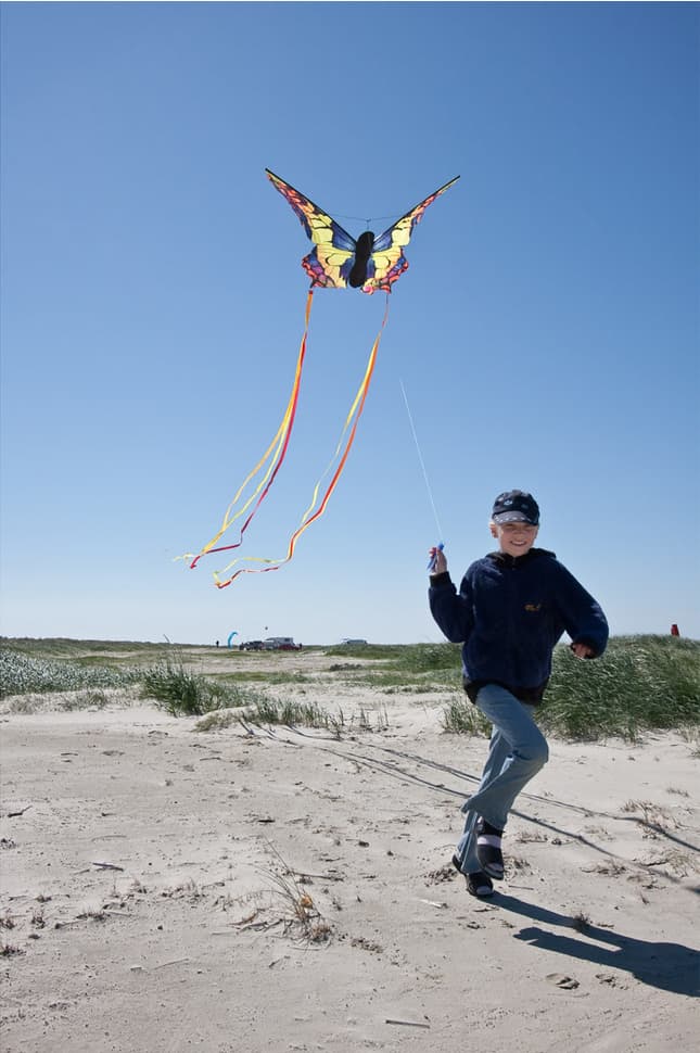 Produktbild Butterfly Kite - Swallowtail R 4 von 4
