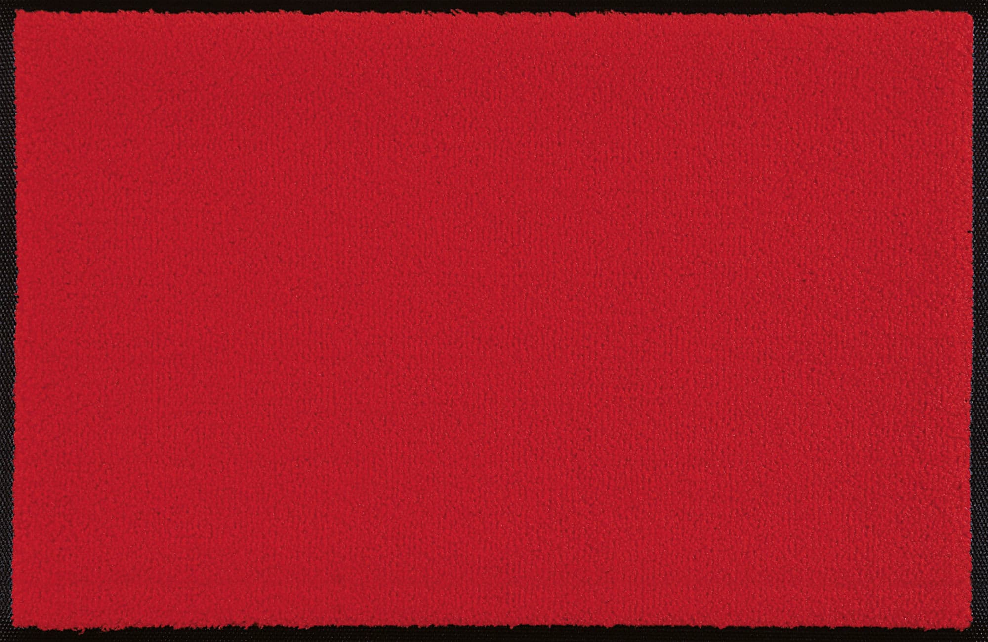 wash+dry Fußmatte Mono 40x60cm