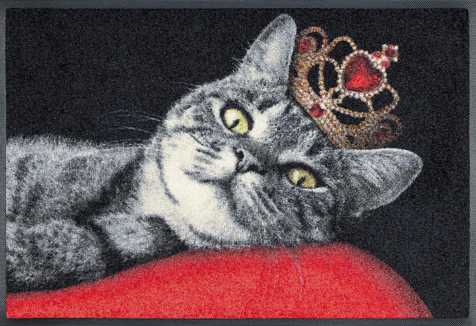 wash+dry Fußmatte Royal Cat 50x75cm