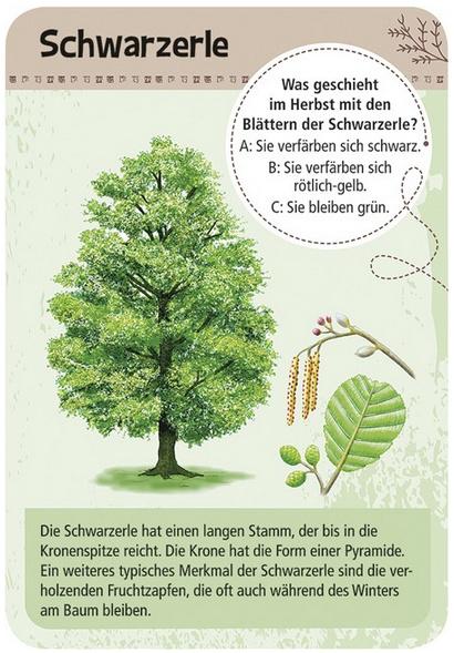 Produktbild moses. - Expedition Natur - 50 heimische Bäume 2 von 3