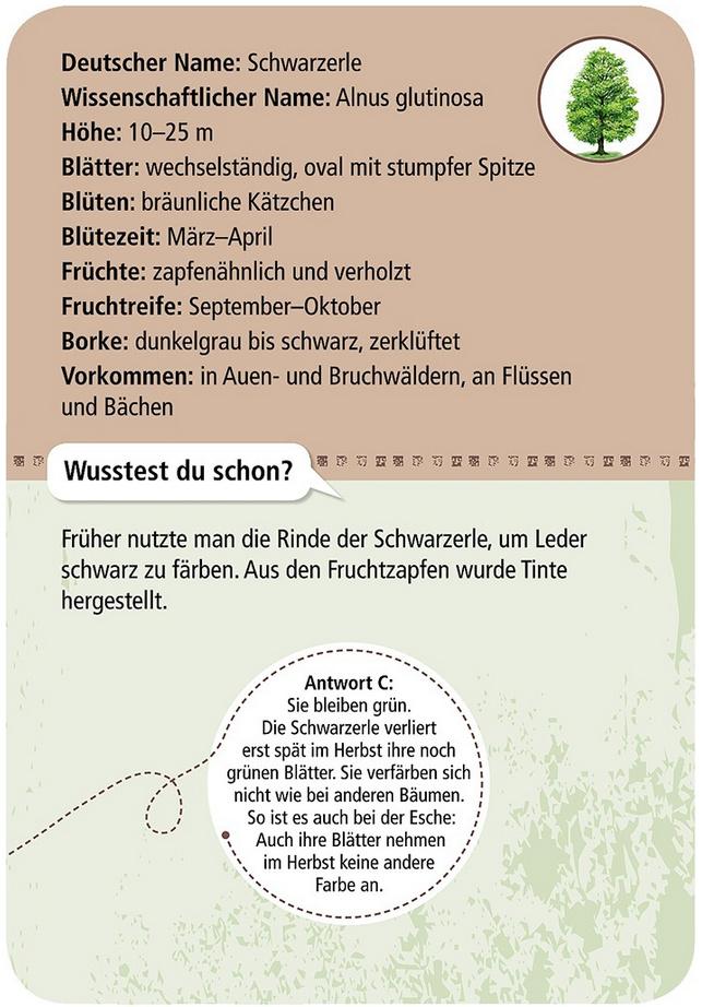 Produktbild moses. - Expedition Natur - 50 heimische Bäume 3 von 3