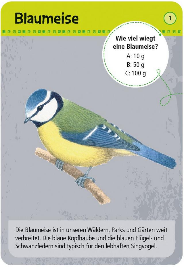 Produktbild moses. - Expedition Natur - 50 heimische Tiere in Stadt&Garten 2 von 3