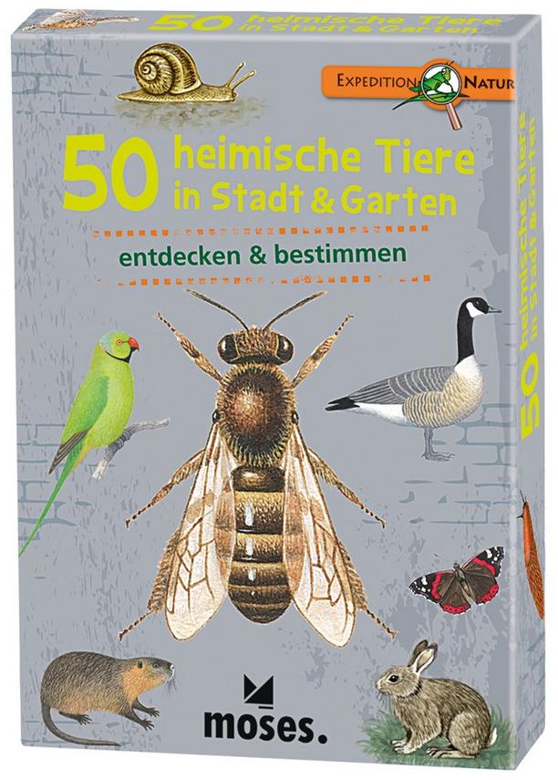 moses. - Expedition Natur - 50 heimische Tiere in Stadt&Garten