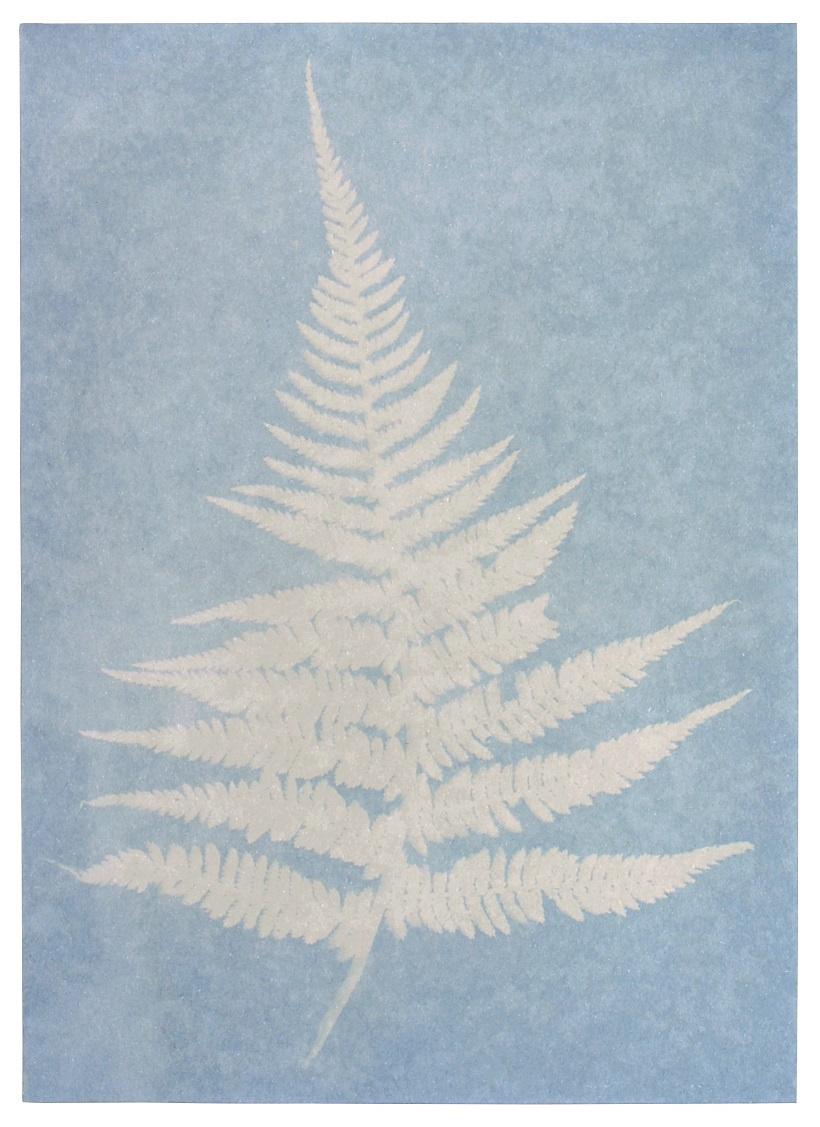 Produktbild moses. PhänoMINT Sonnendruck-Papier 4 von 4
