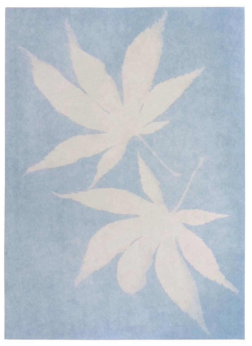 Produktbild moses. PhänoMINT Sonnendruck-Papier 3 von 4