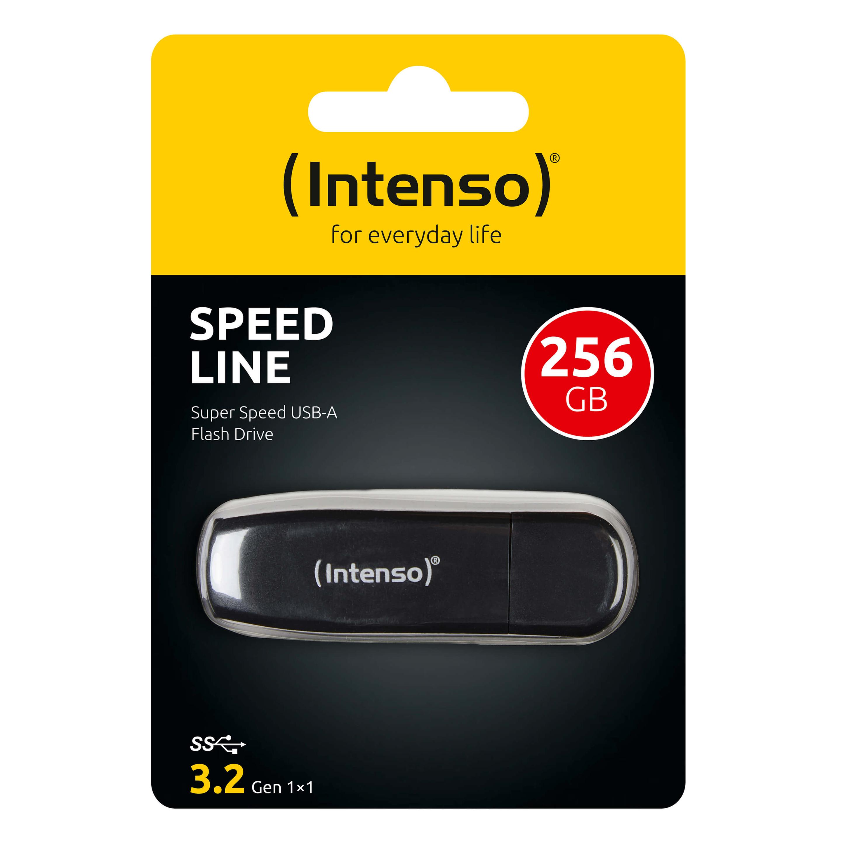 Produktbild Intenso USB Flash Drive 3.2 256GB Speed Line 3 von 3