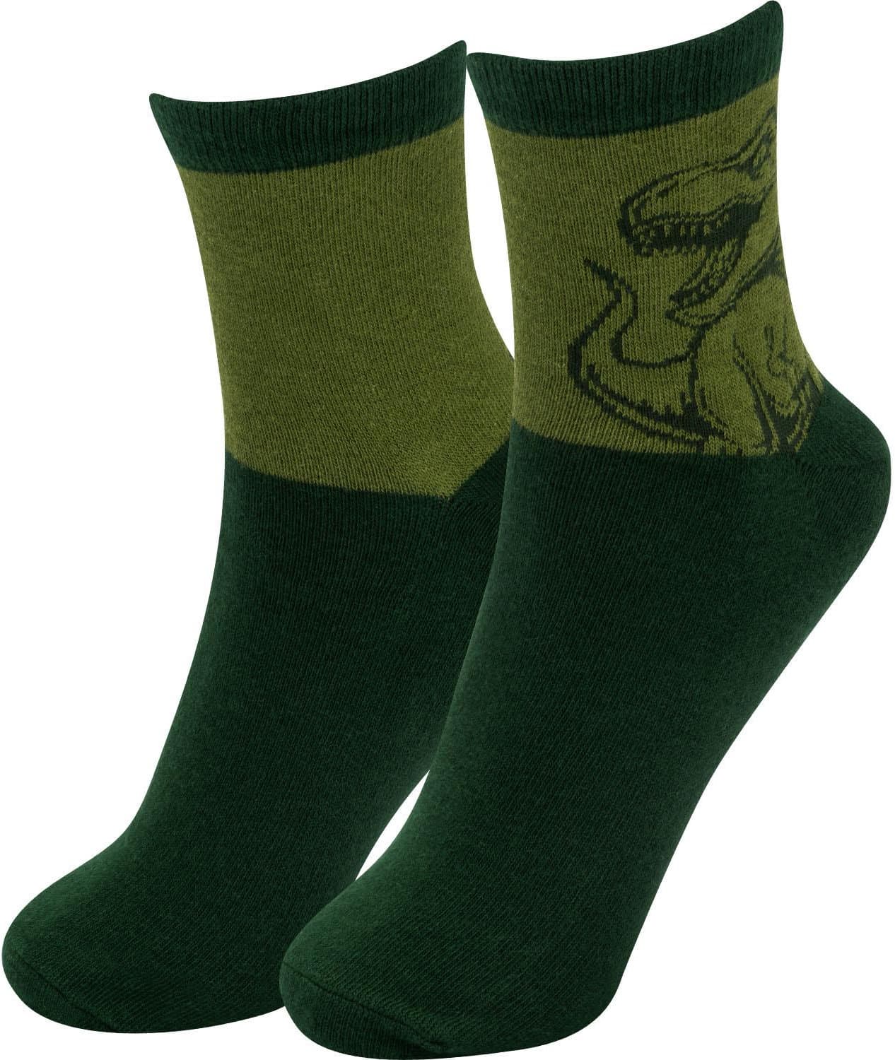 GRUSS&CO Zaubersocken »Dino«
