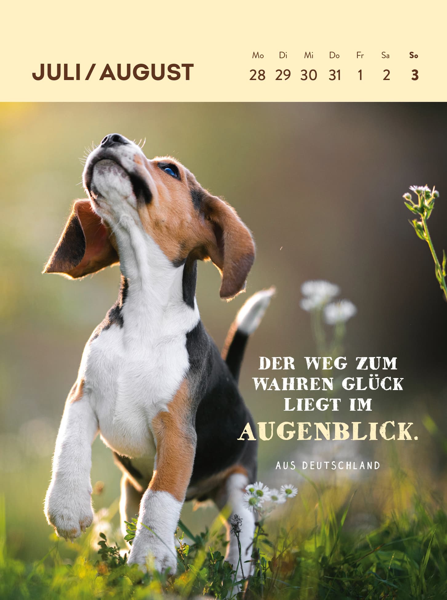 Produktbild Wochenkalender 2025: Hunde sind die besten Freunde 4 von 5