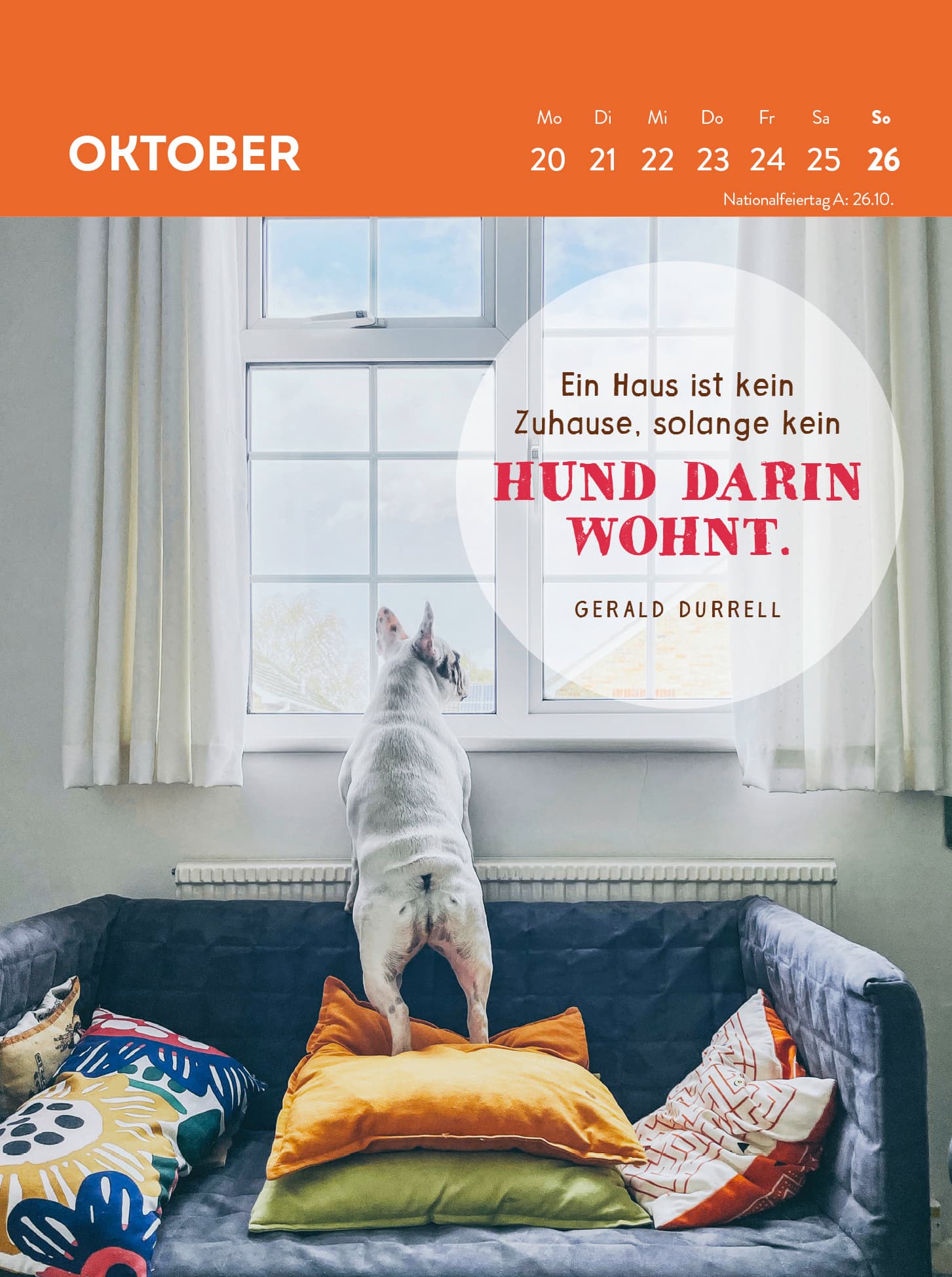 Produktbild Wochenkalender 2025: Hunde sind die besten Freunde 5 von 5