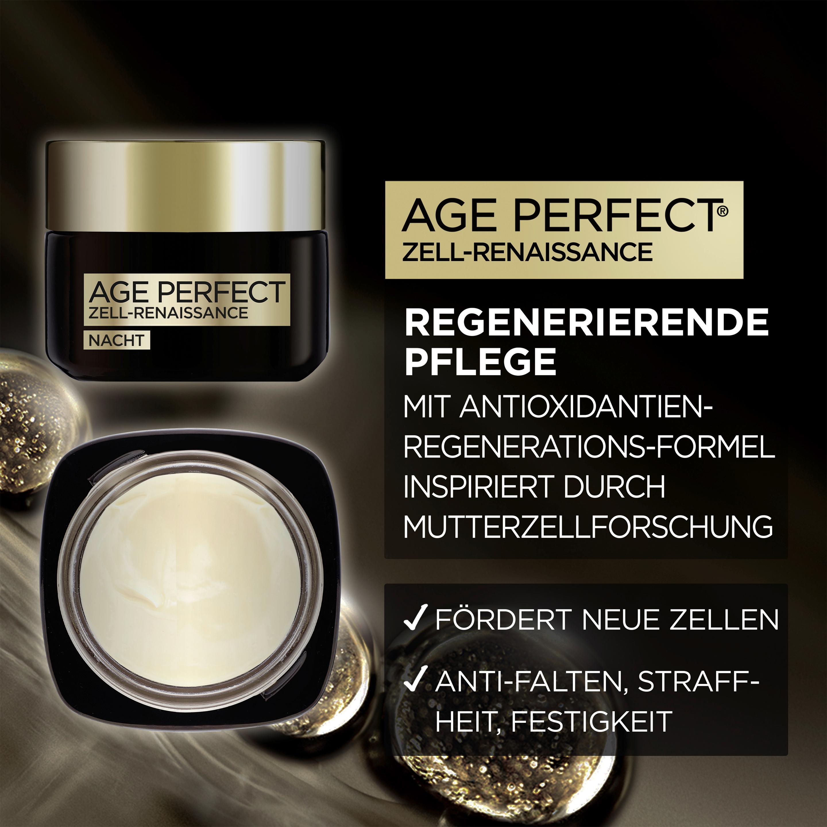 Produktbild L'Oréal Paris Age Perfect Zell-Renaissance Tagespflege + Midnight Cream Nachtpflege -Mildert Falten für alle Hauttypen 5 von 7