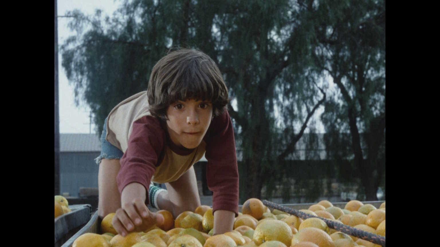 Produktbild Taranteln - Sie kommen um zu töten (Filmjuwelen) 8 von 8