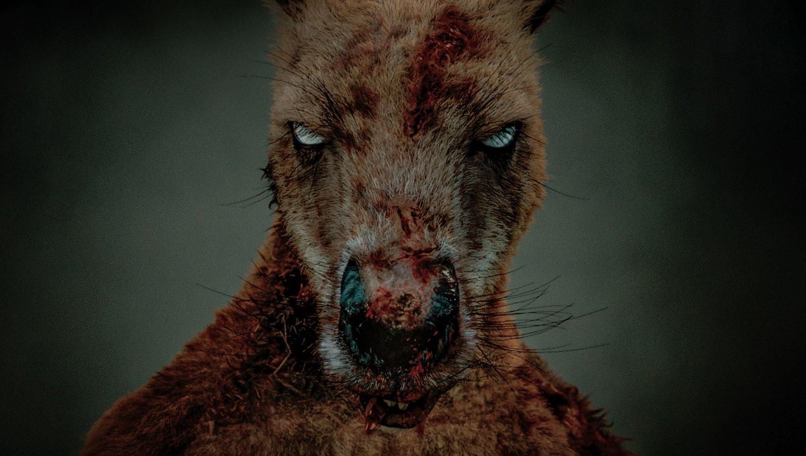 Produktbild Rippy - Das Killerkänguru - 2-Disc Limited Collector's SteelBook (UHD-Blu-ray + Blu-ray) 11 von 12
