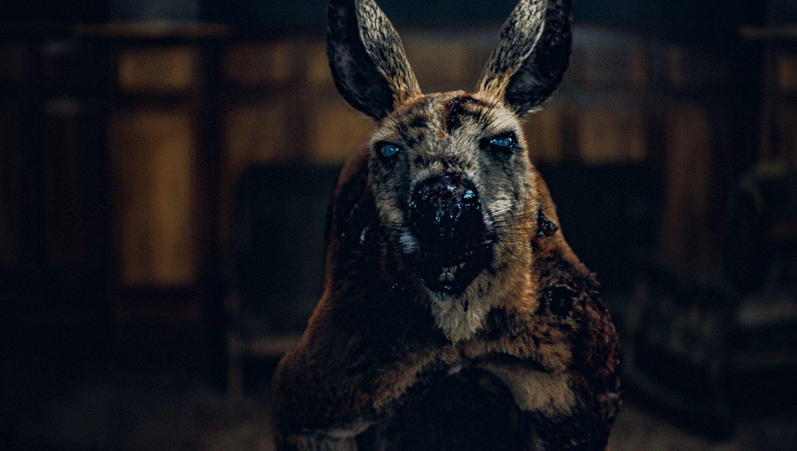 Produktbild Rippy - Das Killerkänguru - 2-Disc Limited Collector's SteelBook (UHD-Blu-ray + Blu-ray) 12 von 12