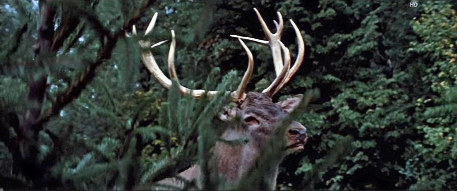 Produktbild Der Hirsch mit dem goldenen Geweih (1971) (Filmjuwelen / DEFA-Märchen) (Neuauflage) 7 von 10