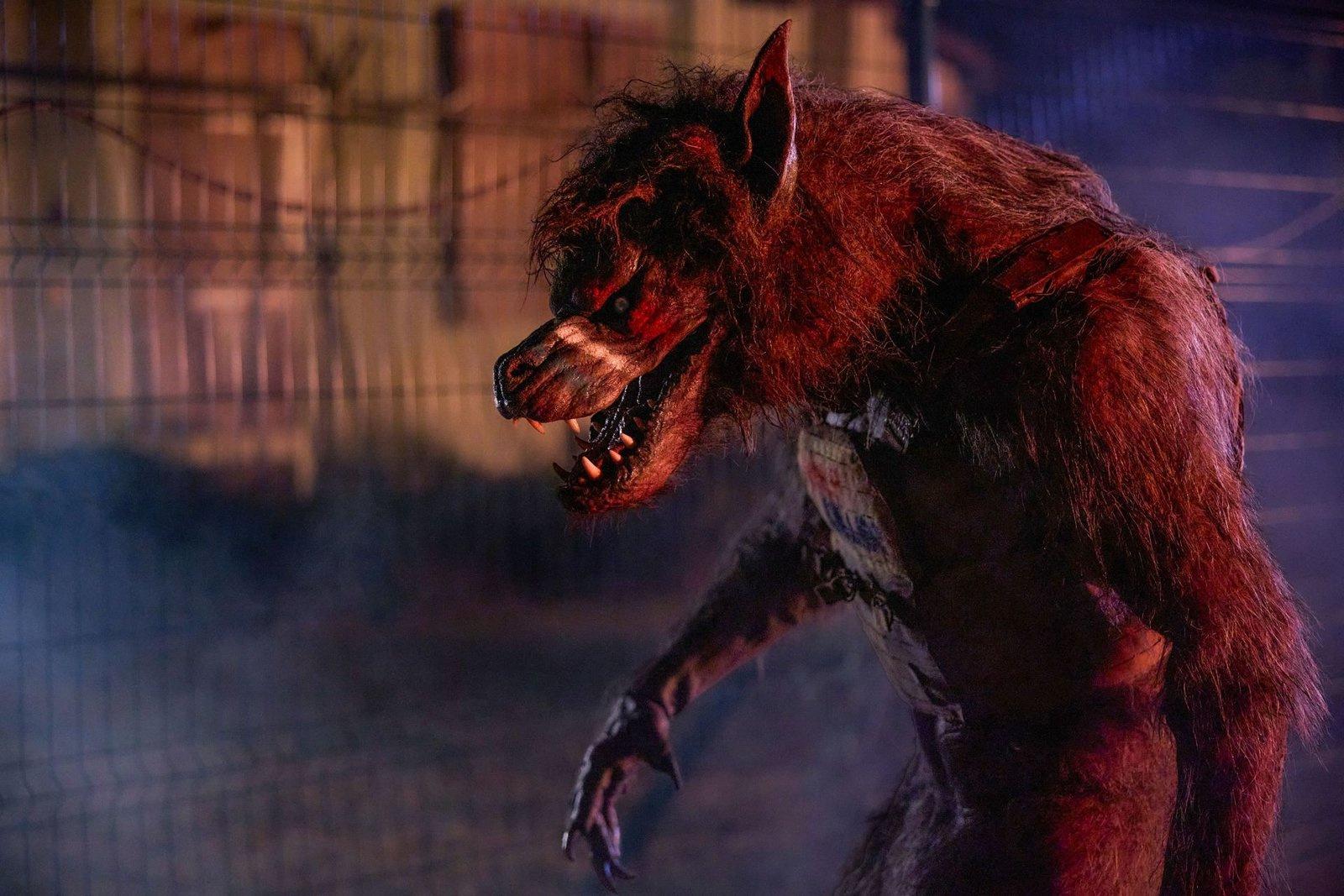 Produktbild Werewolves 10 von 12