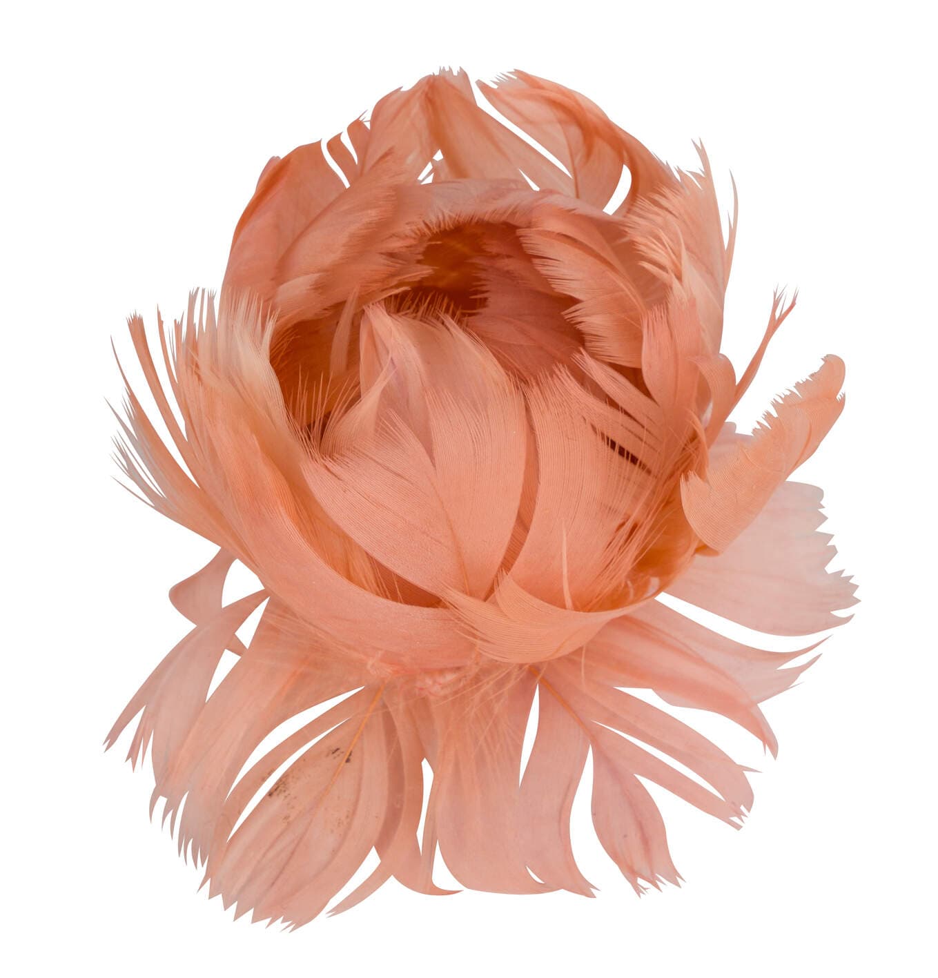 Feder-Blume