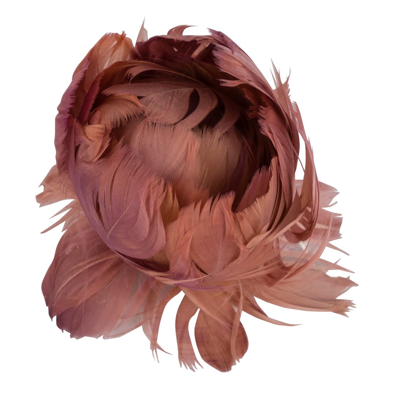 Feder-Blume