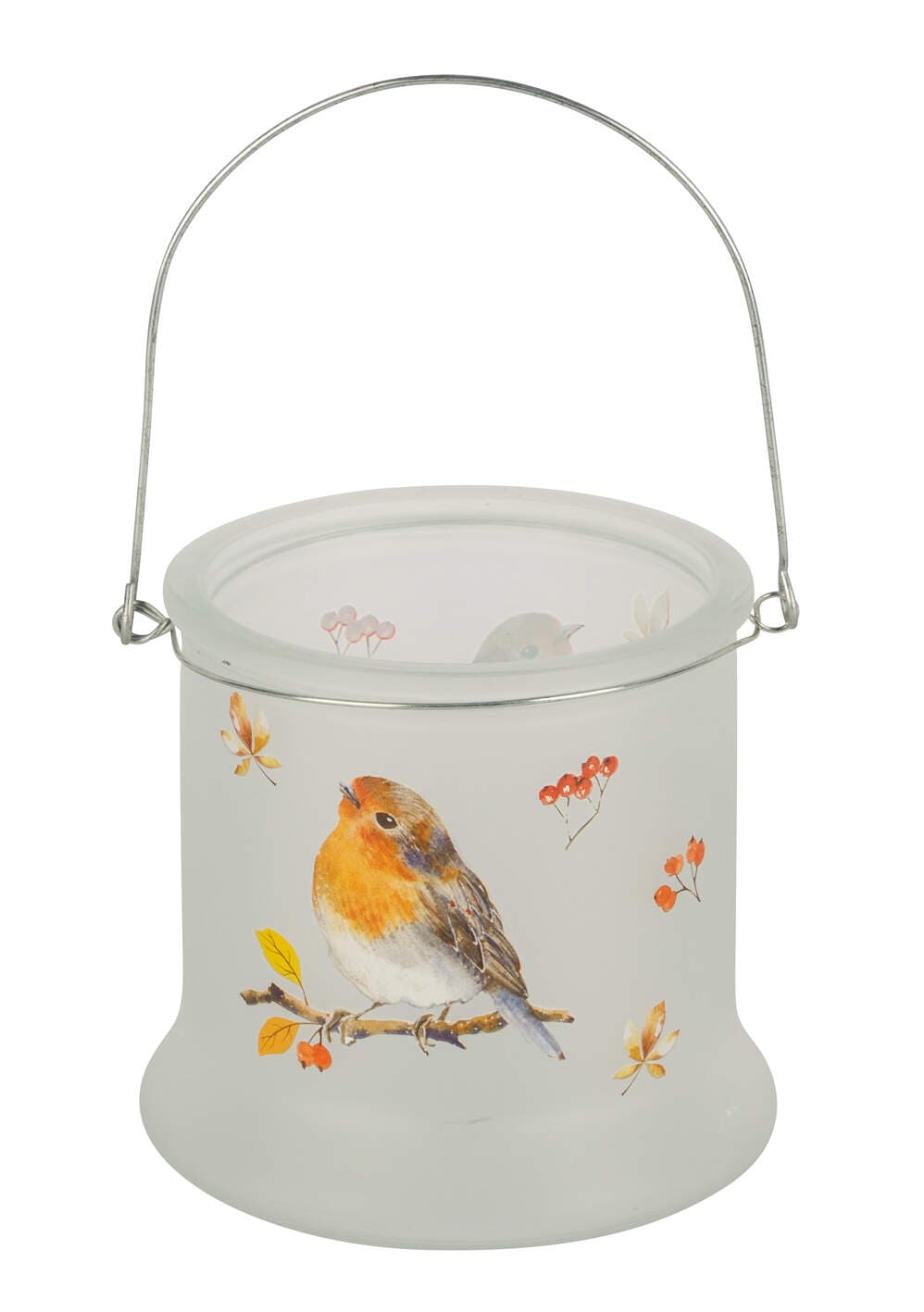 Glaswindlicht Vögel