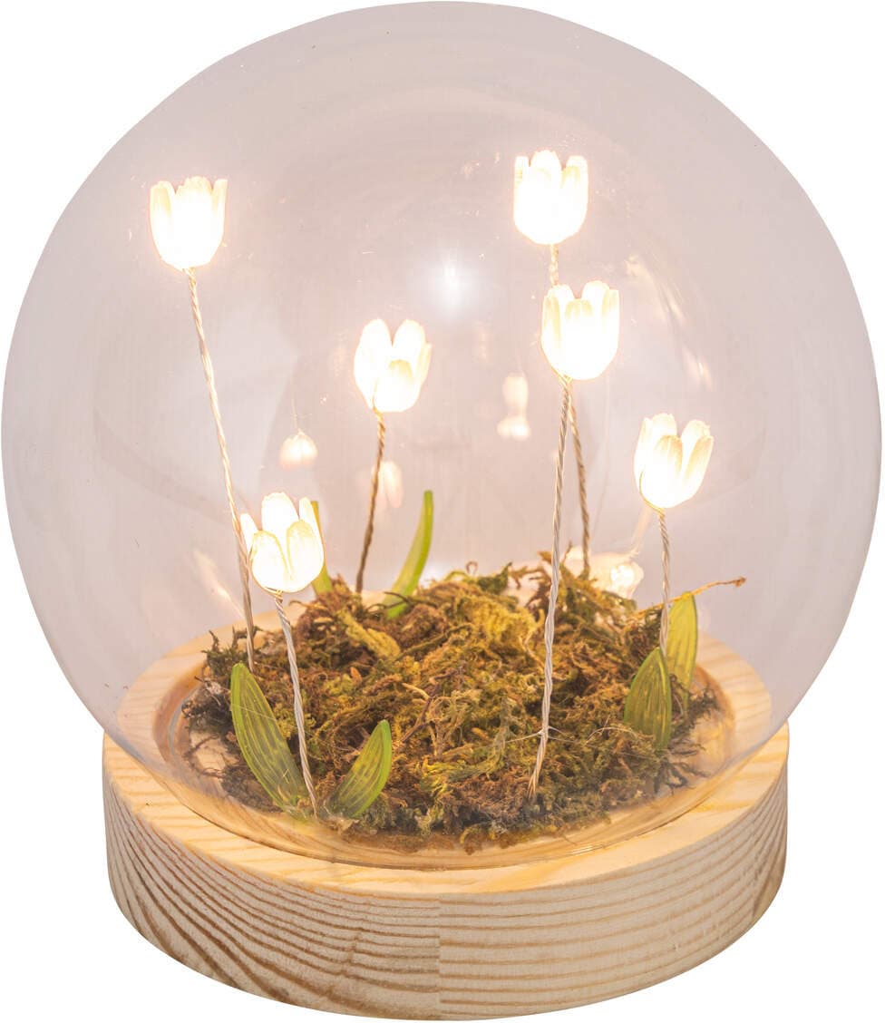 Glaskuppel auf Holzboden