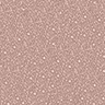 Shiny Rose - 06