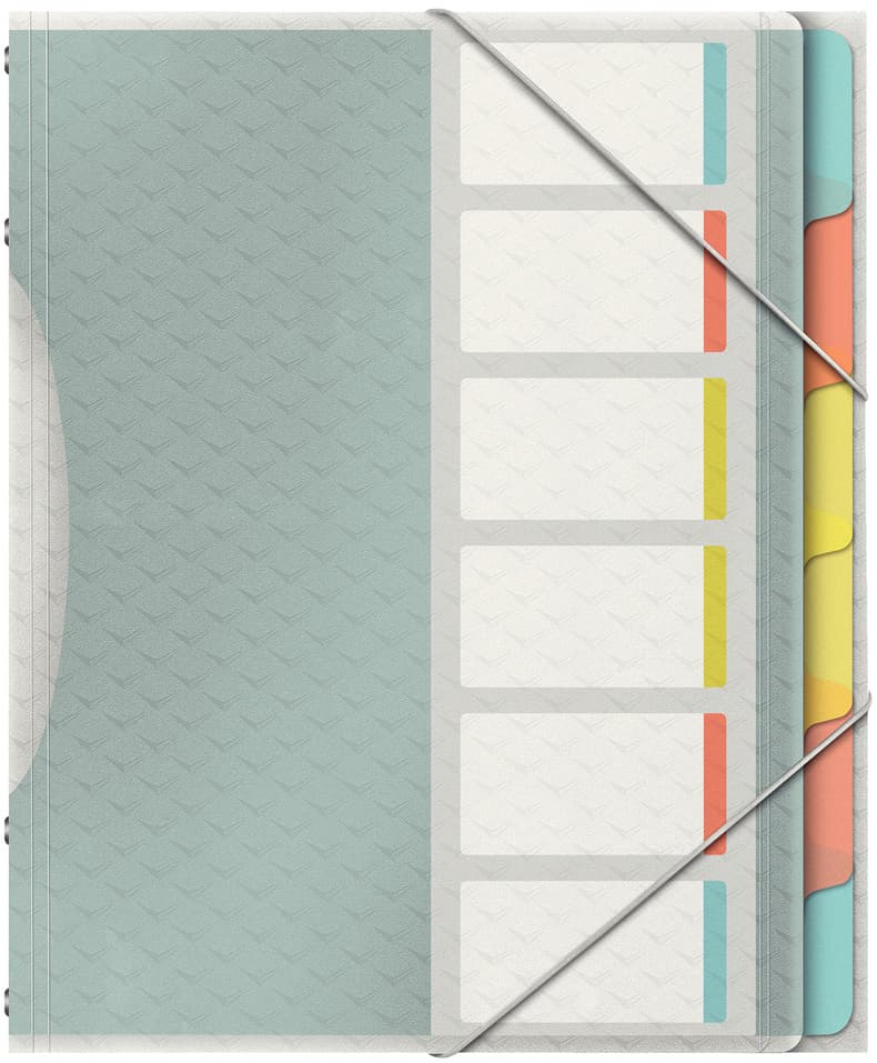 Esselte Ordnungsmappe A4 6 Fächer